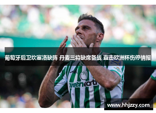 葡萄牙后卫坎塞洛缺阵 丹麦三将缺席备战 直击欧洲杯伤停情报